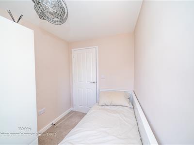 Picture 24